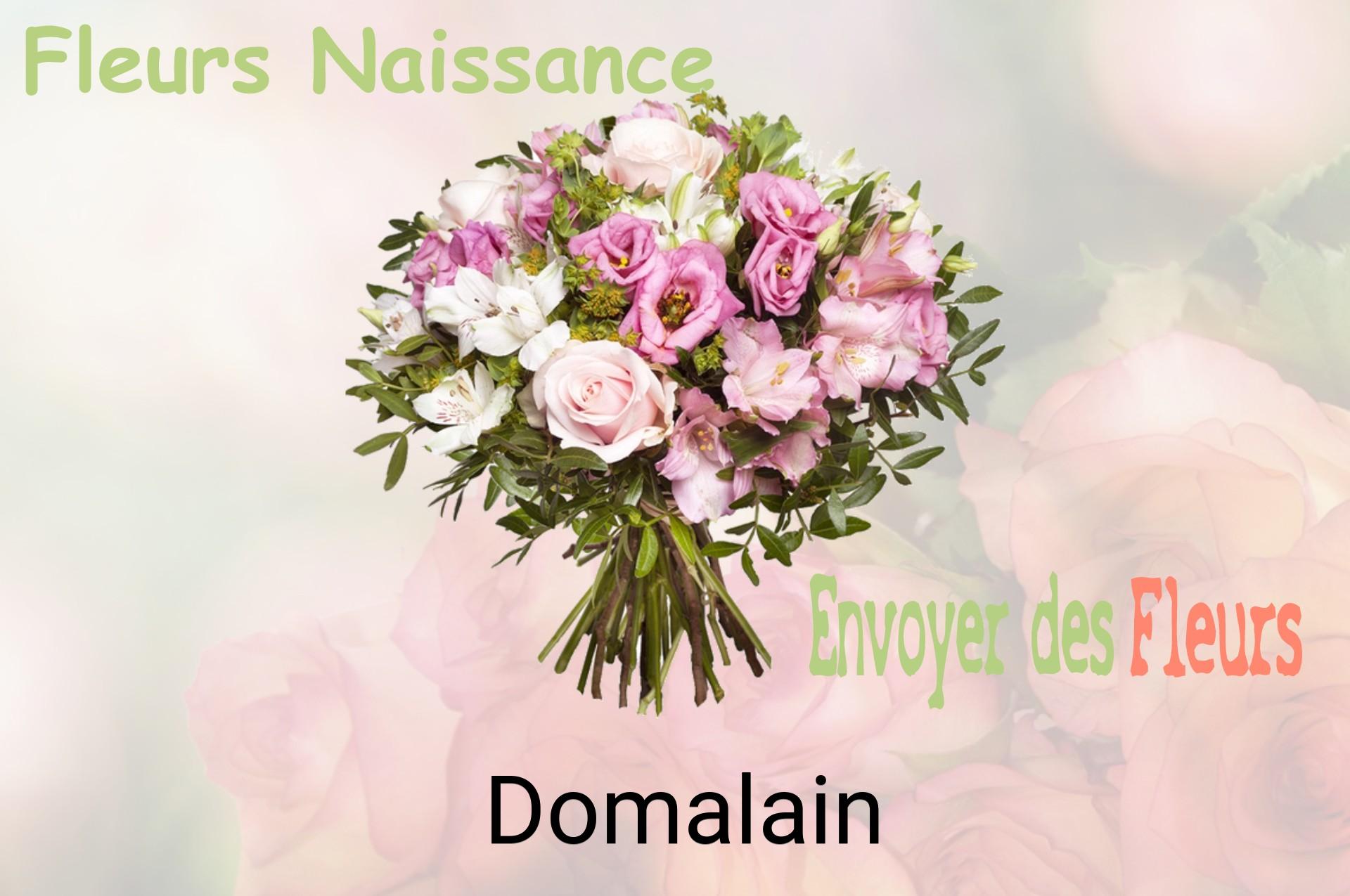 Bouquet de fleurs de naissance livré à Domalain